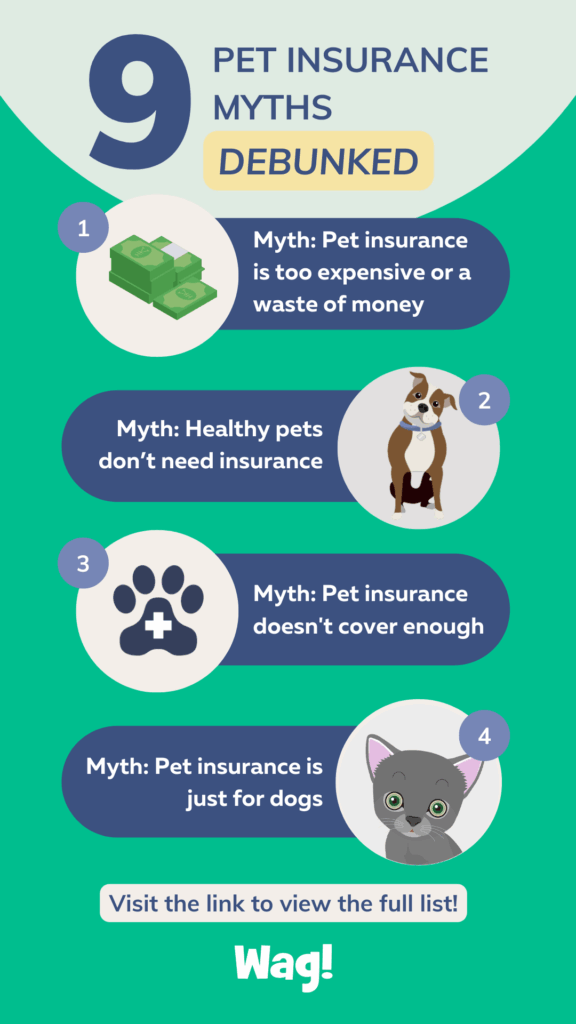 debunking pet insurance myths and facts