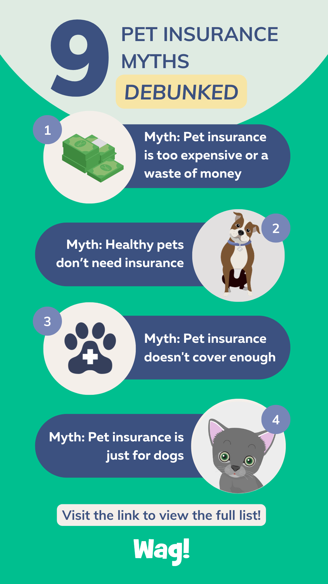 debunking pet insurance myths and facts