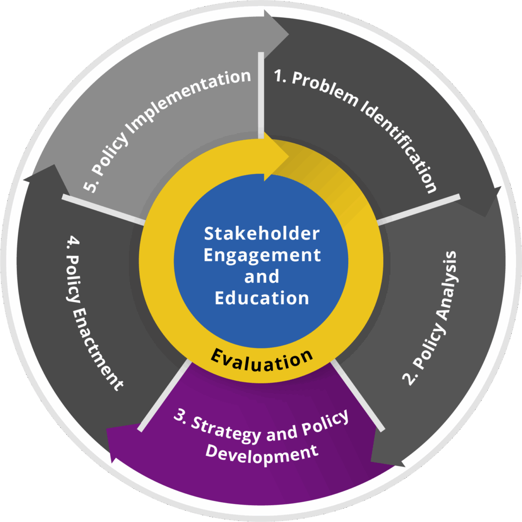 essential strategies for policy selection