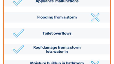 expert guidance on mold coverage in policies