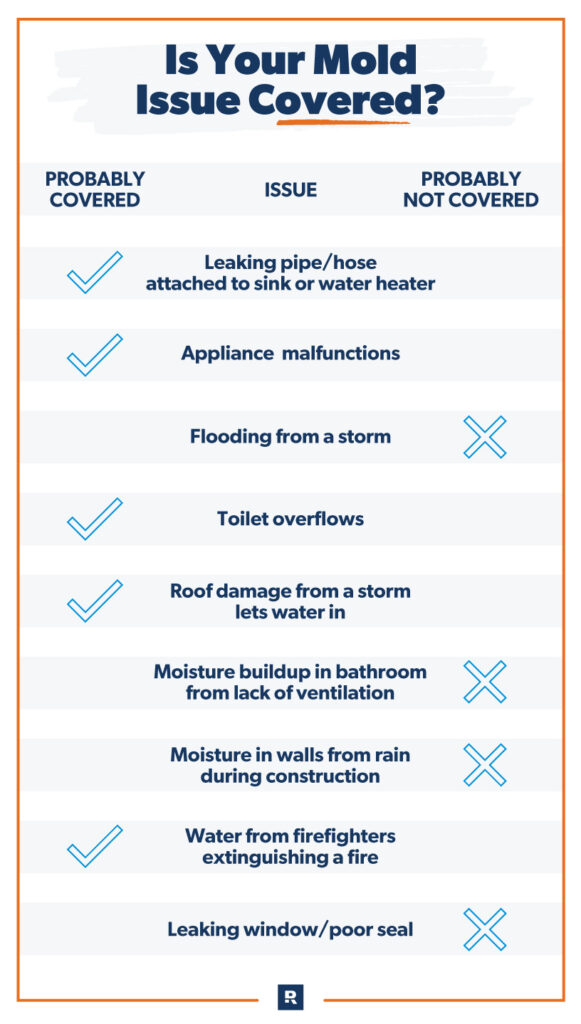 expert guidance on mold coverage in policies