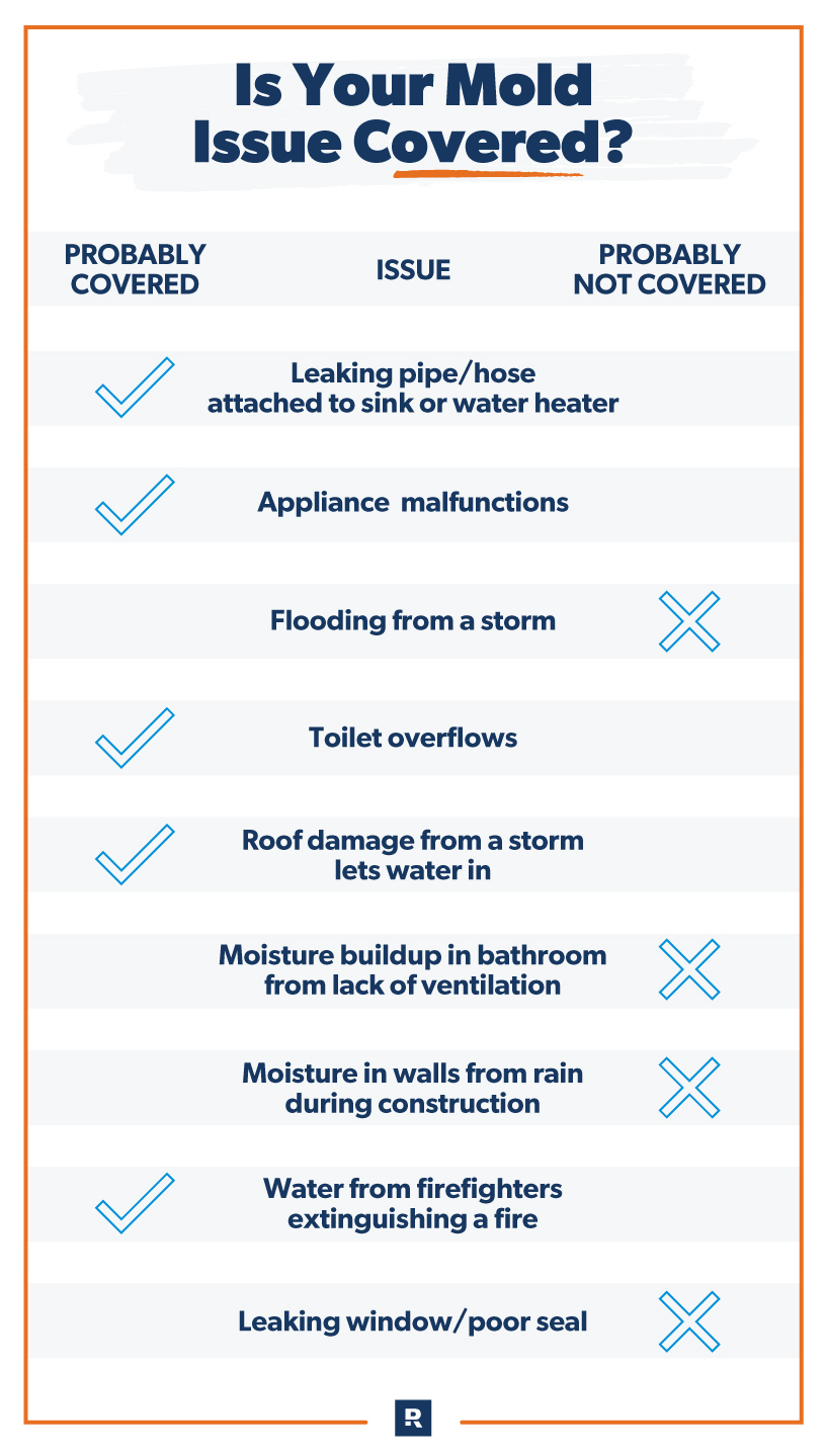 expert guidance on mold coverage in policies