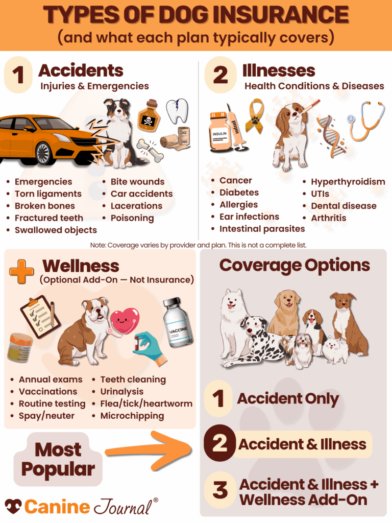exploring pet insurance coverage types