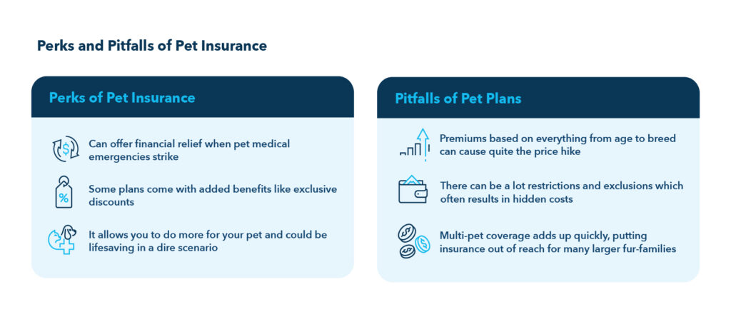 hidden perks of pet insurance policies