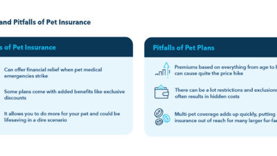 hidden perks of pet insurance policies