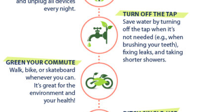 ideas for eco conscious coverage