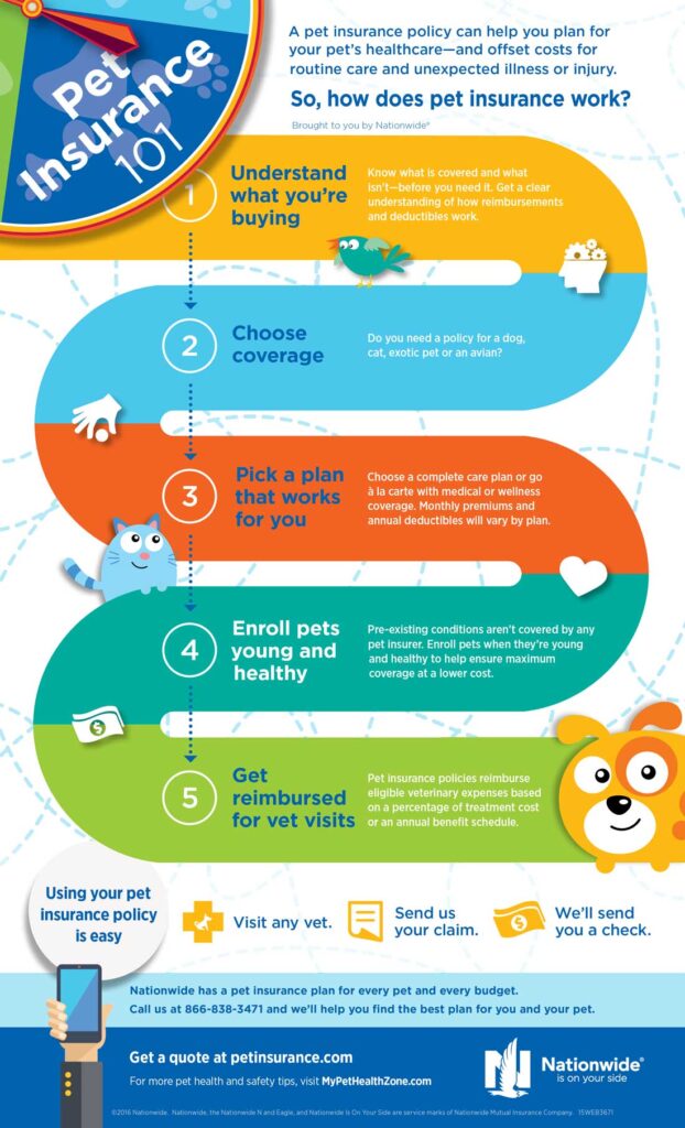 pet insurance guide for new pet owners