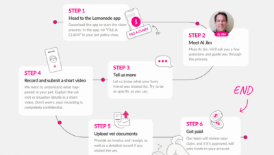 quick steps to file pet claims