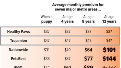 top rated pet insurance for older animals