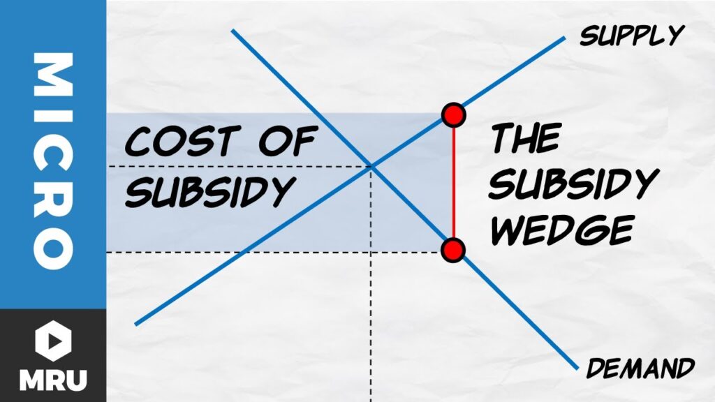 understanding subsidy applications