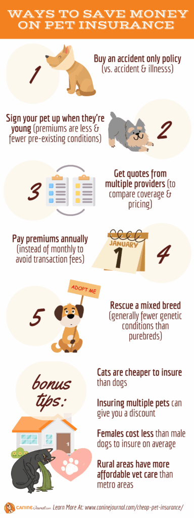 ways to maximize pet insurance savings